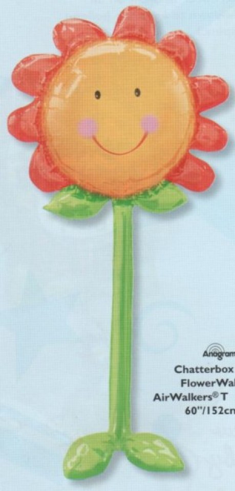 ballonmarchantfleur.jpg