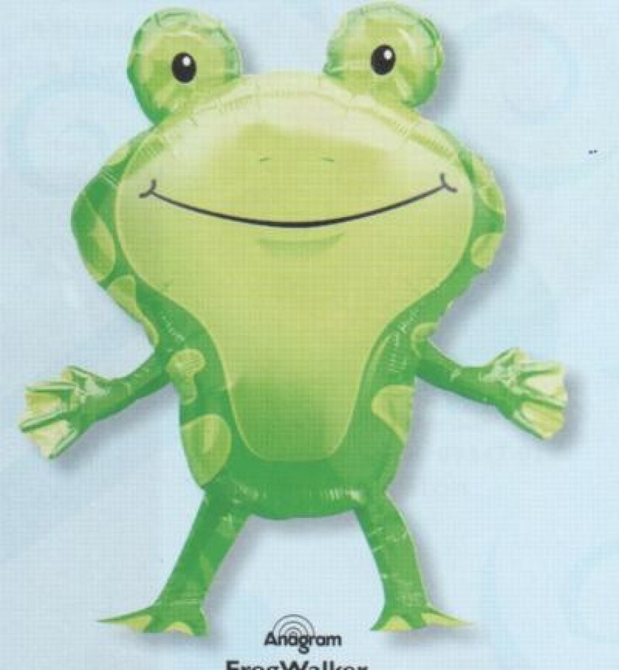 ballonmarchantgrenouille.jpg